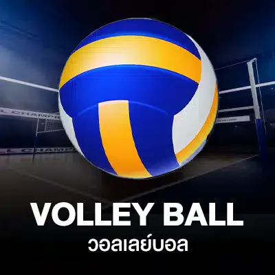 วอลเลย์บอล